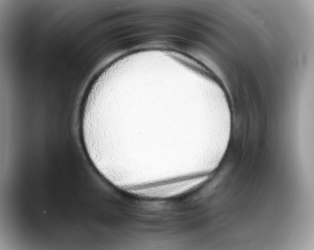 X0000088151045200706111440