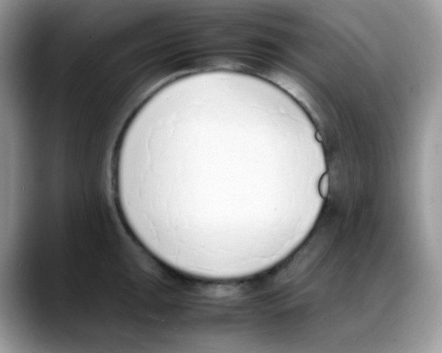 X0000088151047200706111440