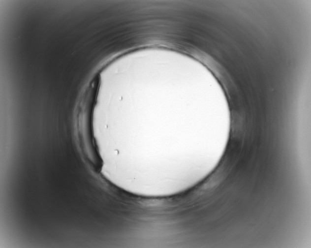 X0000088151048200706111440