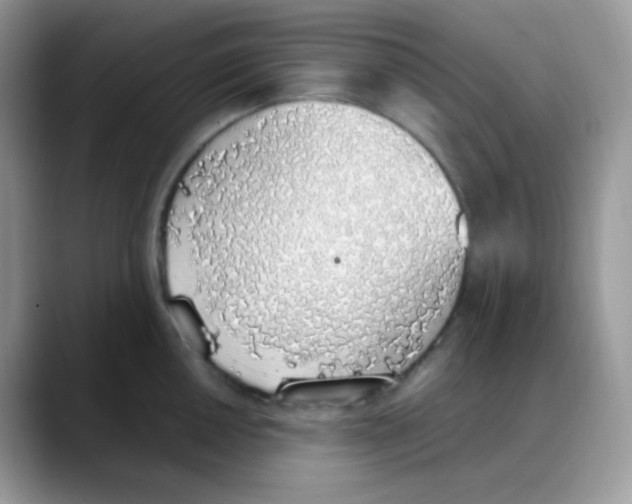 X0000088151050200706111440