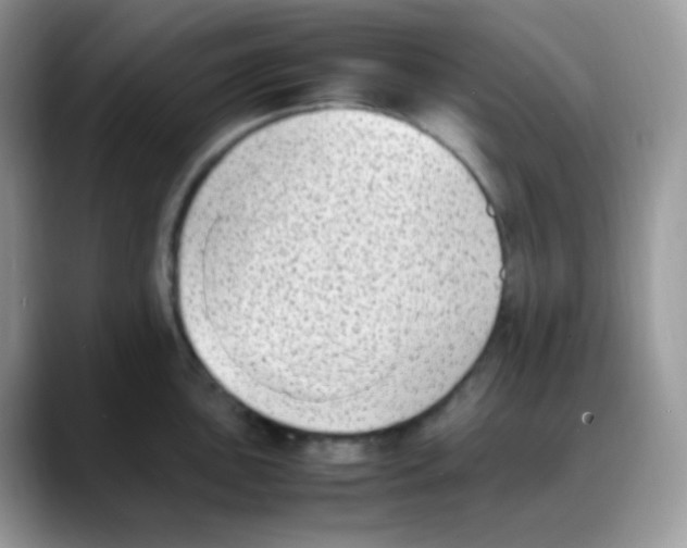 X0000088151051200706111440