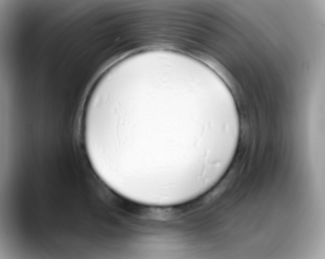 X0000088151052200706111440