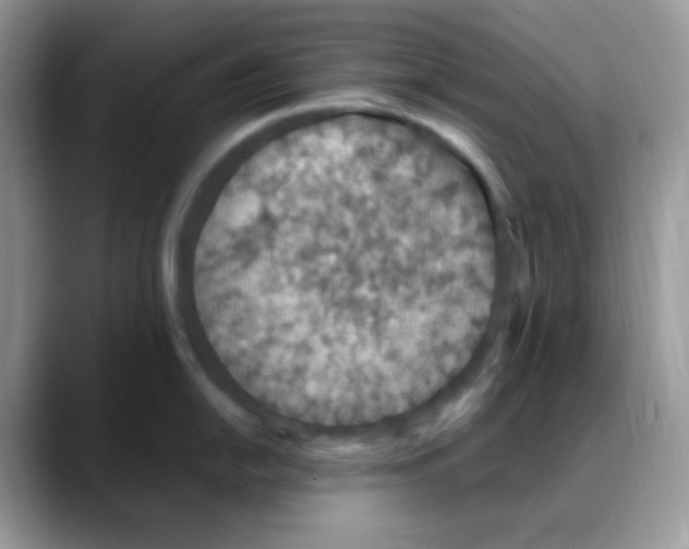 X0000088151054200706111440