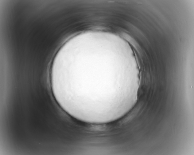 X0000088151055200706111440