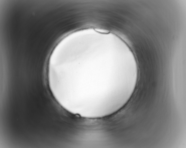 X0000088151056200706111440