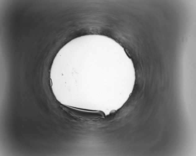 X0000088151057200706111439