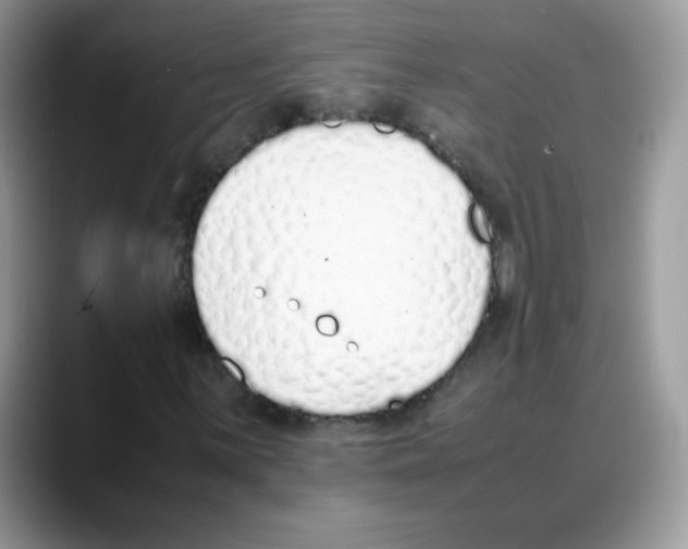 X0000088151059200706111439