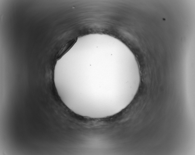 X0000088151061200706111439