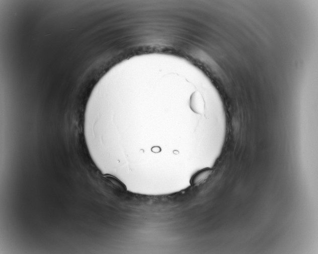 X0000088151064200706111439