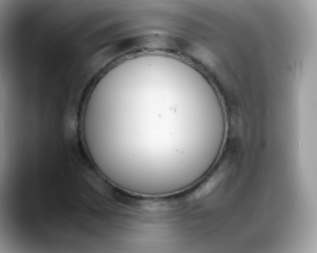 X0000088151065200706111439