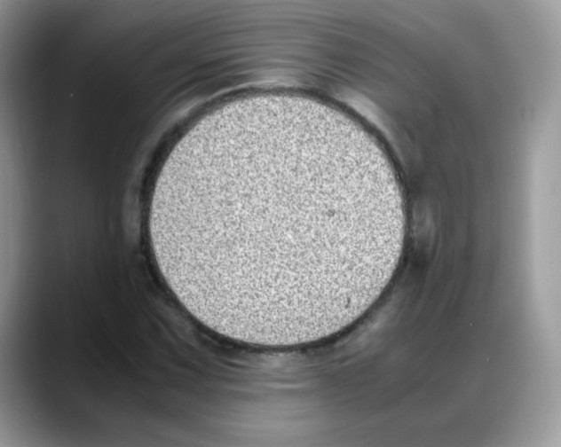 X0000088151067200706111439