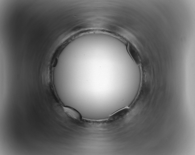 X0000088151069200706111439