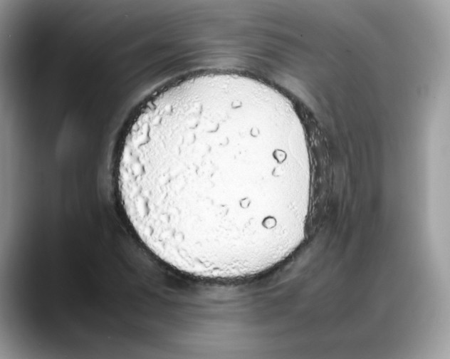 X0000088151071200706111439