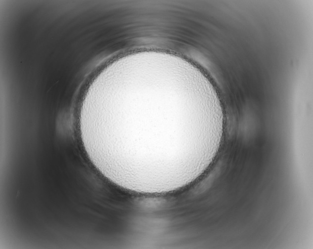 X0000088151074200706111439