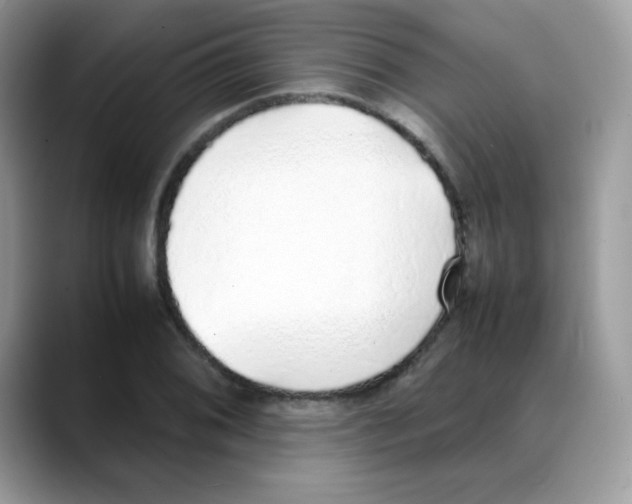 X0000088151076200706111439