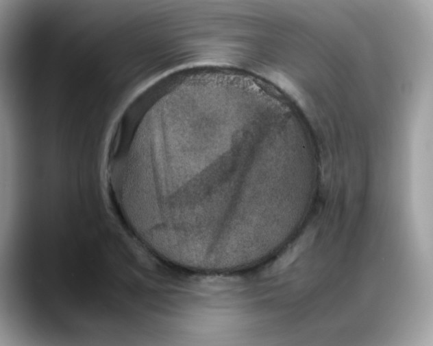 X0000088151077200706111439