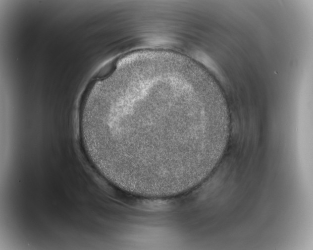 X0000088151079200706111439