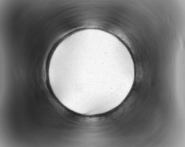 X0000088151080200706111439