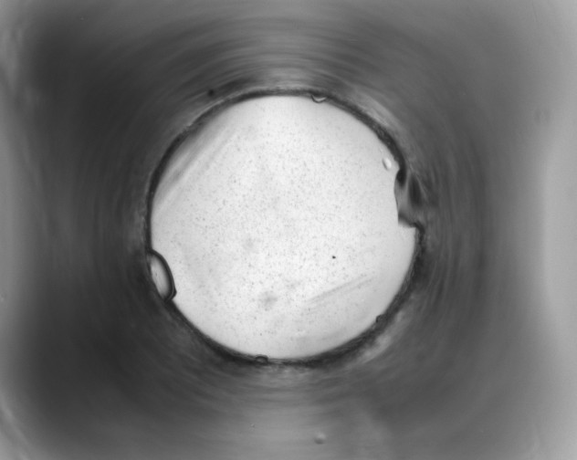 X0000088151081200706111439