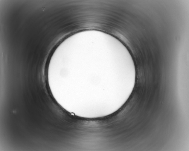 X0000088151082200706111439