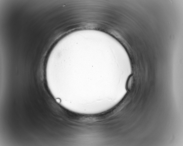 X0000088151083200706111439