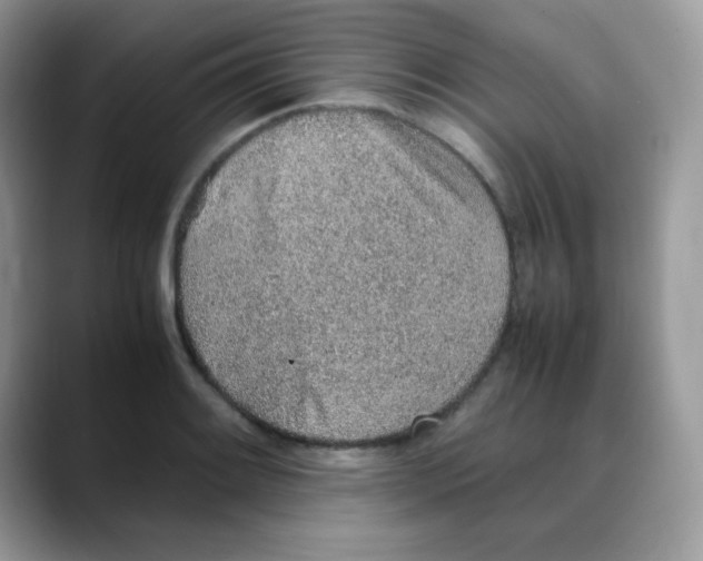 X0000088151084200706111439