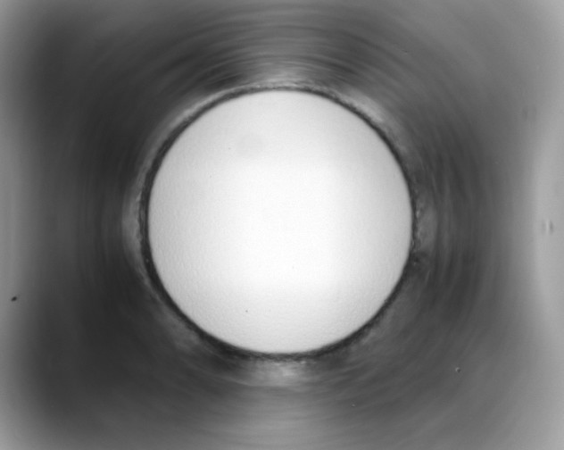 X0000088151086200706111439