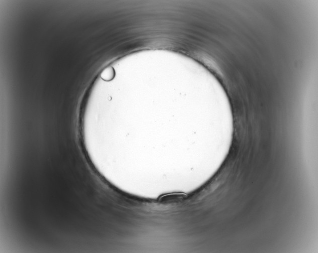 X0000088151087200706111439