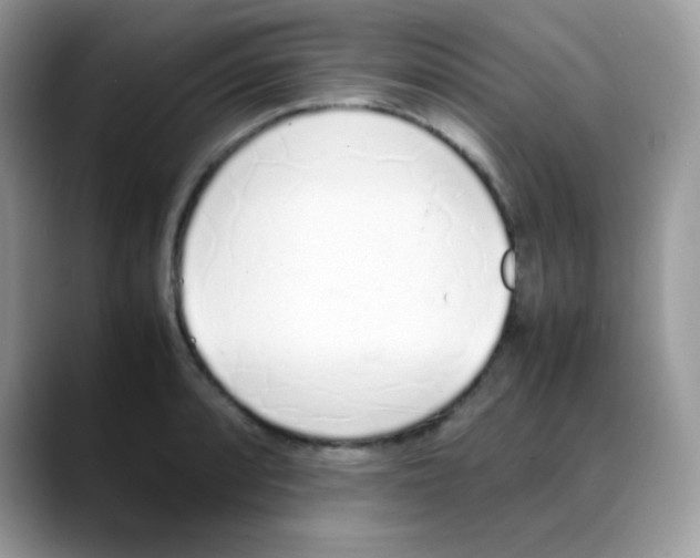 X0000088151088200706111439