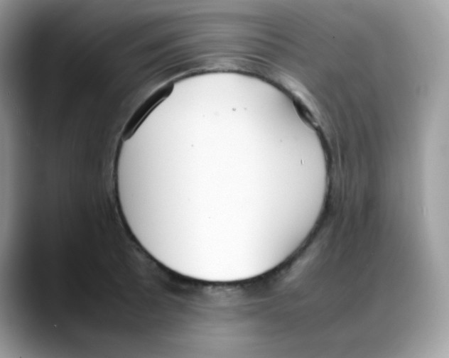 X0000088151089200706111439