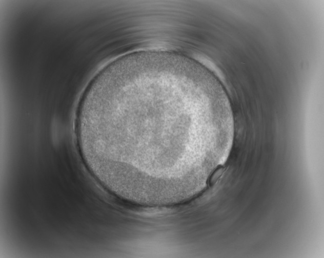 X0000088151091200706111439