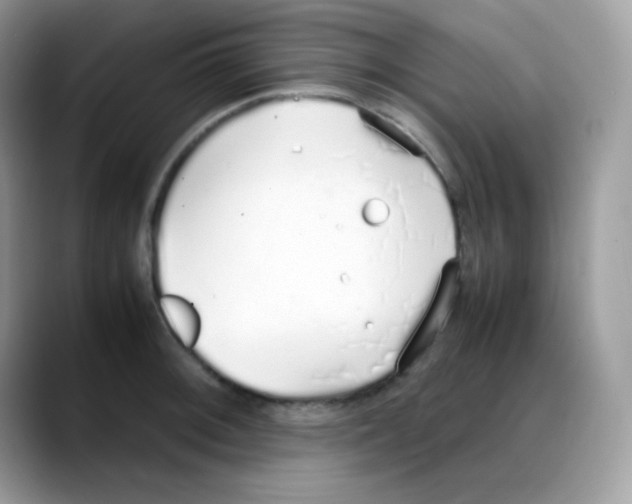 X0000088151092200706111439