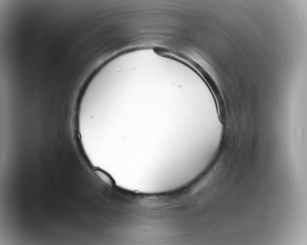 X0000088151093200706111439