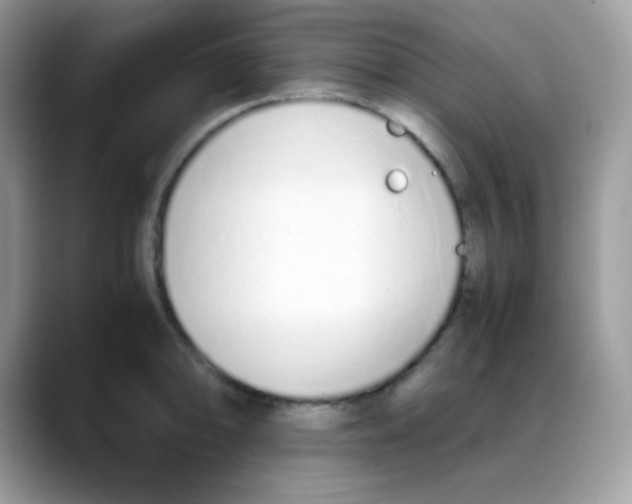 X0000088151094200706111439