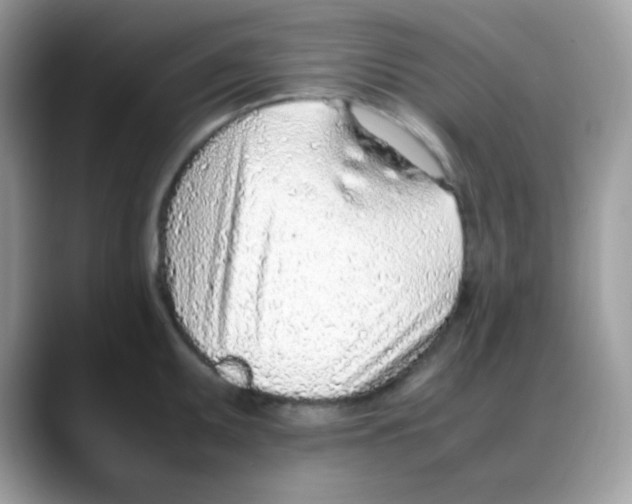 X0000088151095200706111439