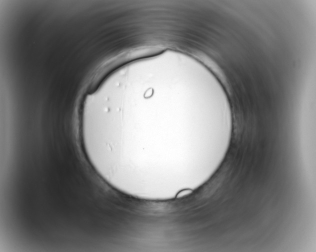 X0000088151096200706111439