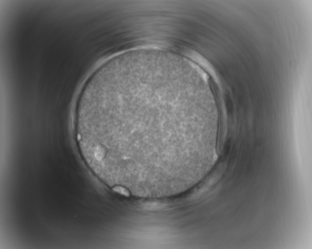 X0000088151099200706111439