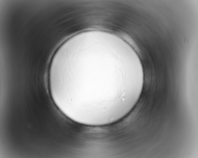 X0000088151100200706111439