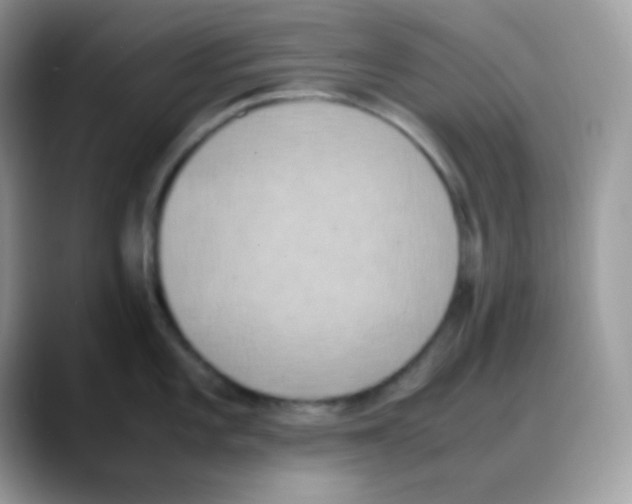 X0000088151101200706111439