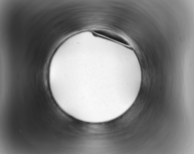 X0000088151102200706111439