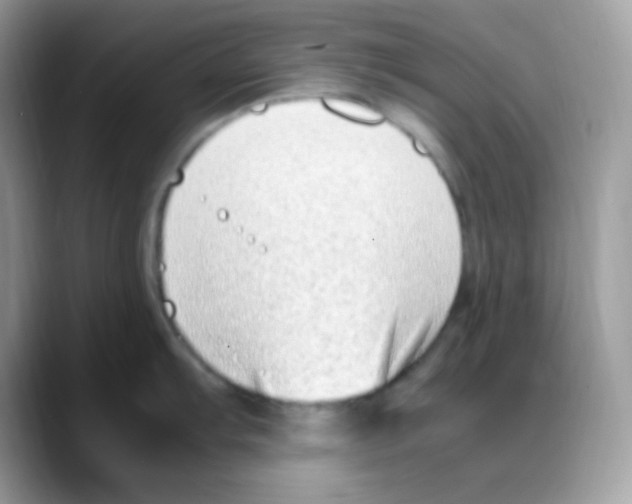 X0000088151103200706111439