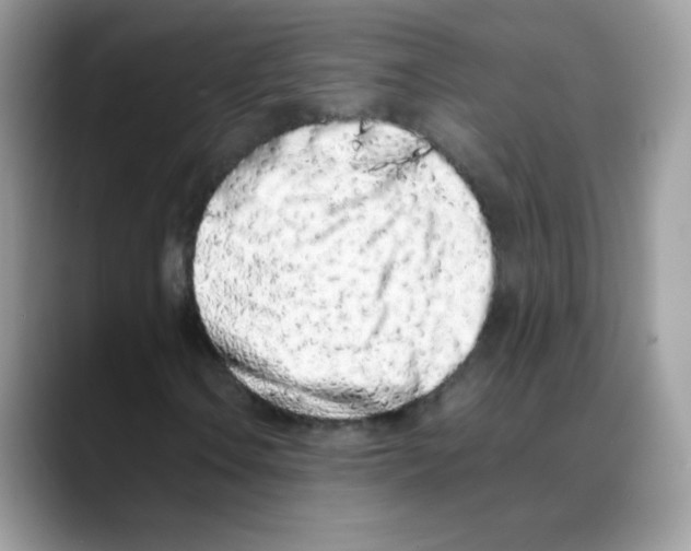 X0000088151106200706111438