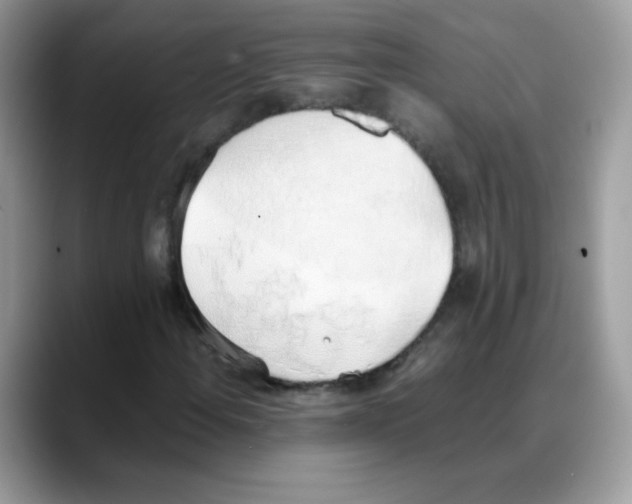 X0000088151108200706111438