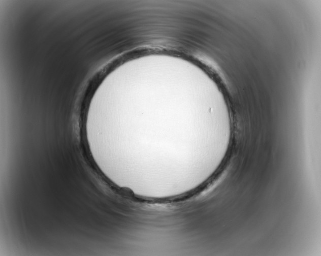 X0000088151114200706111438