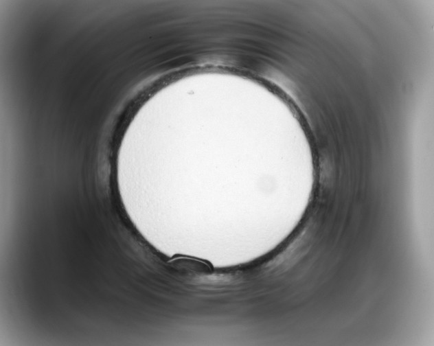 X0000088151115200706111438