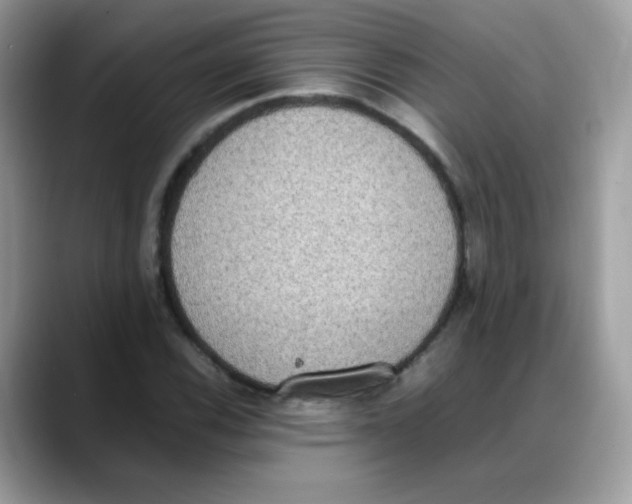 X0000088151116200706111438