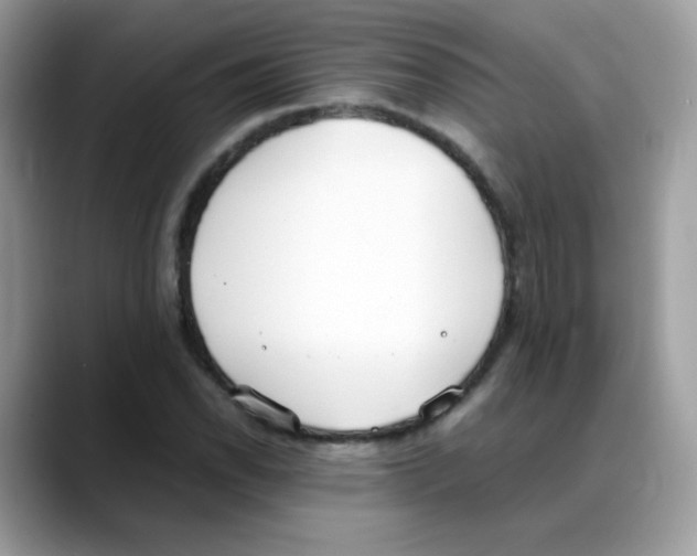 X0000088151118200706111438