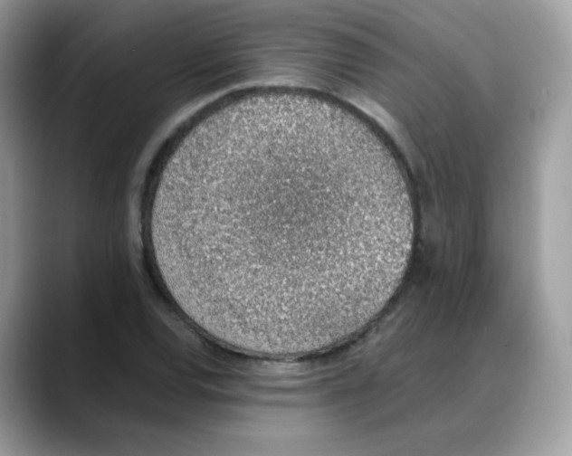 X0000088151120200706111438