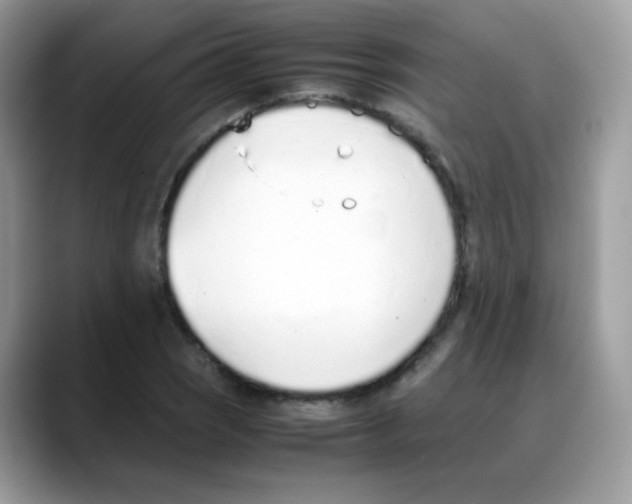 X0000088151121200706111438