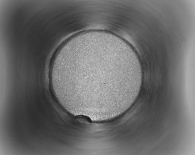 X0000088151124200706111438